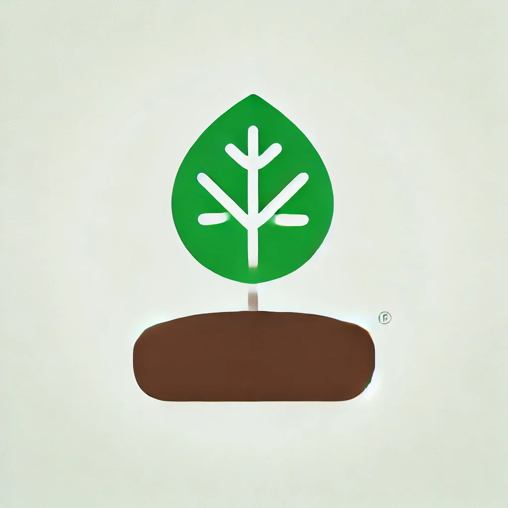 Outdoor and Landscaping